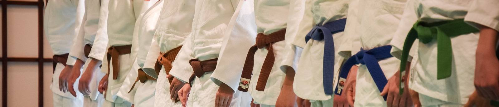 Bodaishinkan Ryu - Ecole de Judo - Bernard Wirz