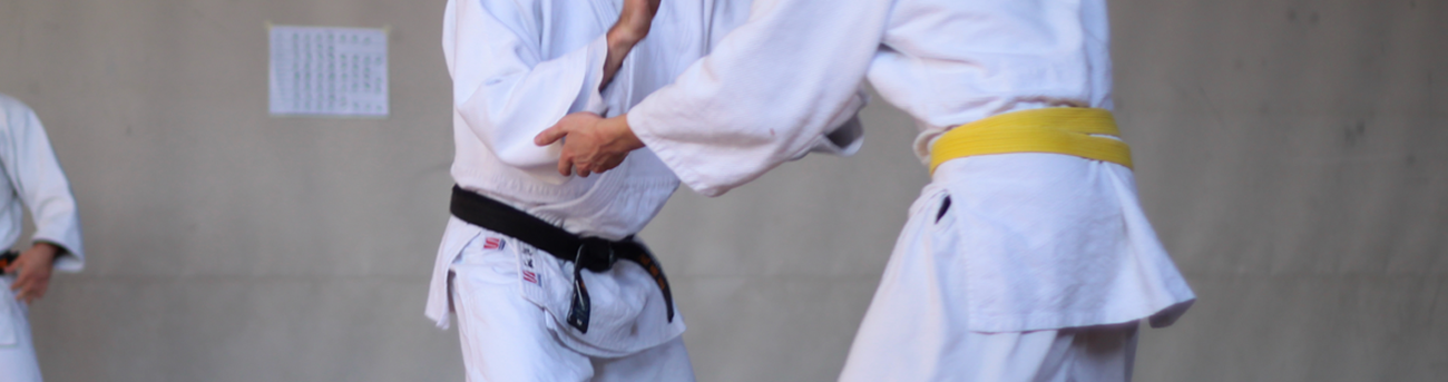 Bodaïshinkan Ryu - Ecole de Judo