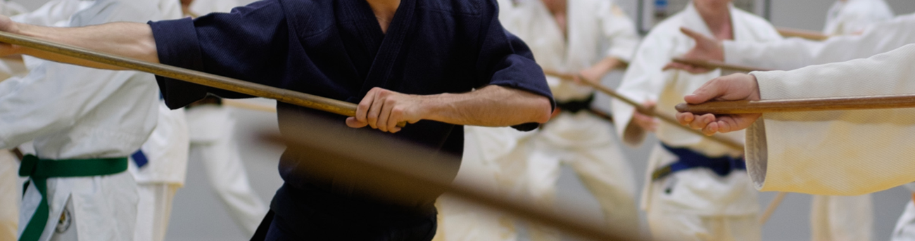 Stage Judo, Ju-Jutsu et Armes